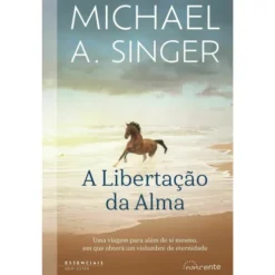 A Libertação da Alma de Michael Singer