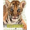 Animais Selvagens - Toca e Brilha