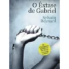 A Saga de Gabriel Nº2 - O Êxtase de Gabriel de Sylvain Reynard