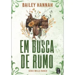 Em Busca De Rumo de Bailey Hannah