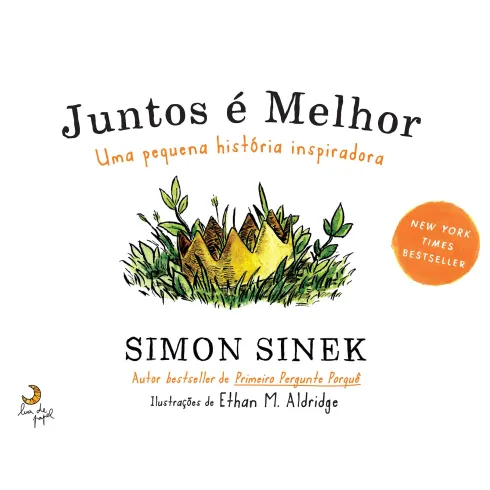 Juntos é Melhor de Simon Sinek