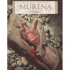 Murena - Espinhos de Jean Dufaux