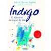 Índigo de Inês de Barros Baptista