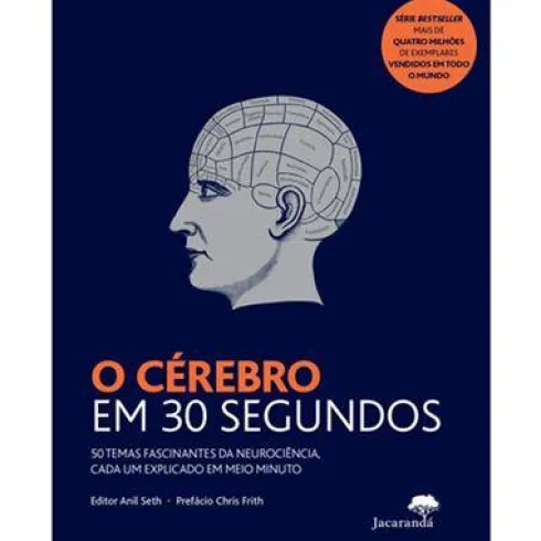 O Cérebro em 30 Segundos de Anil Steh