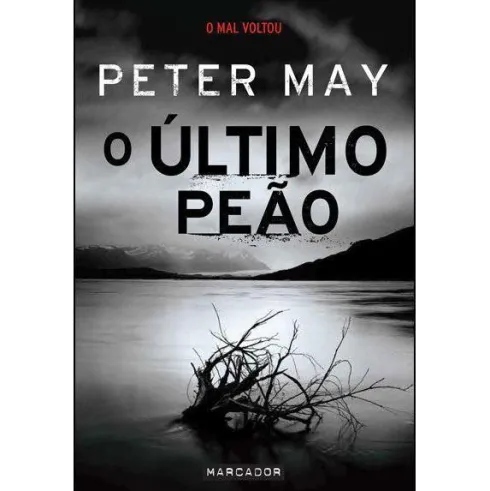 O Último Peão de Peter May