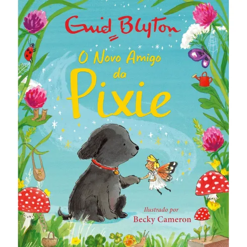 O Novo Amigo Da Pixie de Enid Blyton