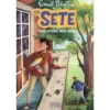 Os Sete Nº 8 - Três Vivas aos Sete! de Enid Blyton