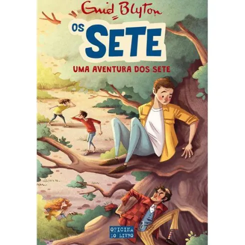 Os Sete Nº 2 - uma Aventura dos Sete de Enid Blyton