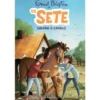 Os Sete Salvam o Cavalo de Enid Blyton - Os Sete Volume 15
