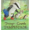 O Texugo e a Grande Tempestade de Suzanne Chiew