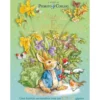 Pedrito Coelho - A História Das Quatro Estações de Beatrix Potter