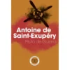 Piloto de Guerra de Antoine de Saint-Exupéry