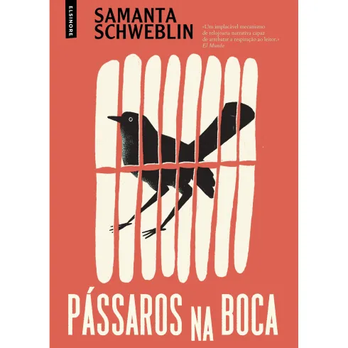 Pássaros na Boca de Samanta Schweblin