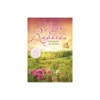 Sem Medo do Destino de Nora Roberts