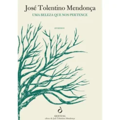 Uma Beleza que nos Pertence de José Tolentino Mendonça