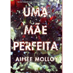 Uma Mãe Perfeita de Aimee Molloy