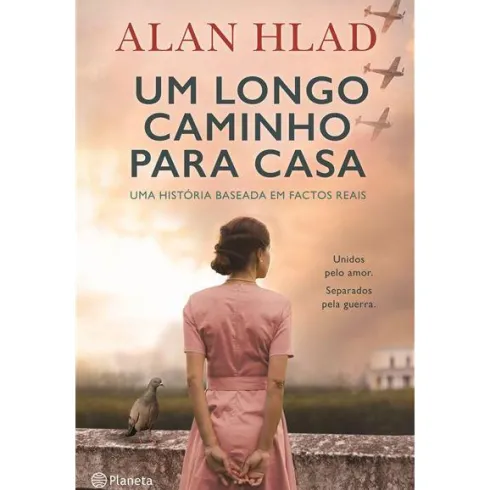 Um Longo Caminho para Casa de Alan Hlad